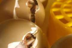 IMG-20210108-WA0006