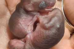 IMG-20240325-WA0023
