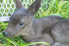 IMG-20240406-WA0072