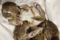 IMG-20240411-WA0014