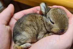 IMG-20240412-WA0000