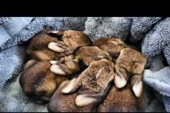 IMG-20240414-WA0045