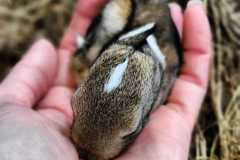 IMG-20240414-WA0046