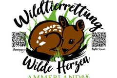 IMG-20240426-WA0011