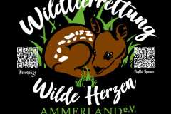 IMG-20240502-WA0155
