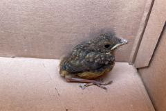 IMG-20240506-WA0046