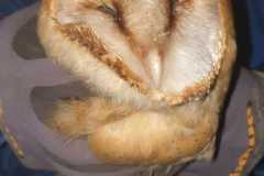 IMG-20250116-WA0090