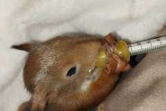 IMG-20250303-WA0251