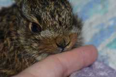 IMG-20250310-WA0067