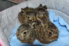 IMG-20250323-WA0092