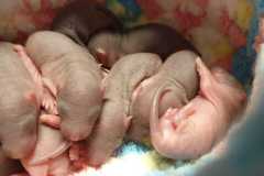 IMG-20250324-WA0189