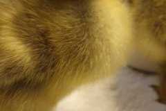 IMG-20250414-WA0019