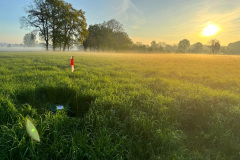 IMG-20250429-WA0065