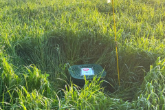 IMG-20250429-WA0066