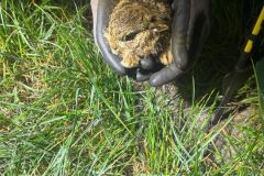 IMG-20250509-WA0073