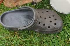 IMG-20250518-WA0095