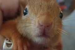 IMG-20250613-WA0092