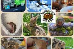 IMG-20250626-WA0114