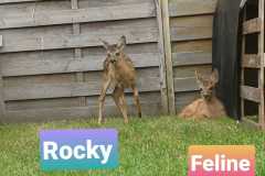 IMG-20250710-WA0127