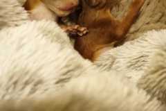 IMG-20250723-WA0056