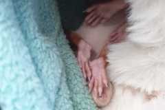 IMG-20250922-WA0034