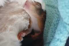 IMG-20250922-WA0036