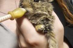 IMG-20251007-WA0135
