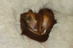 IMG-20251012-WA0192