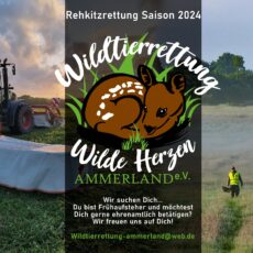 LÄUFER GESUCHT!🚶🏻‍♂️🫱🏻‍🫲🏼